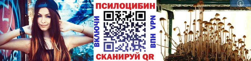 купить  цена  MEGA   Псилоцибиновые грибы MAGIC MUSHROOMS  Верея 